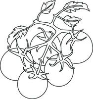 illustration vectorielle de tomates vecteur