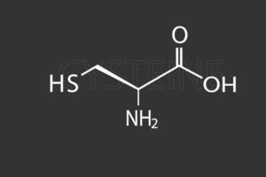 cystéine moléculaire squelettique chimique formule vecteur