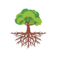 arbre avec les racines vecteur illustration