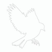 oiseau illustration ligne art vecteur eps