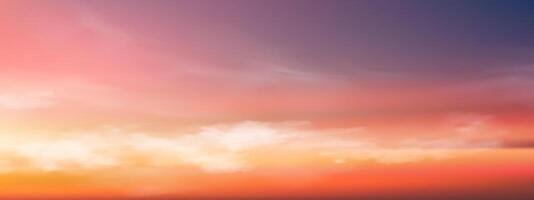 le coucher du soleil ciel, nuages plus de plage dans le soir avec bleu rouge, Orange jaune et violet lumière du soleil dans été, beau panoramique la nature lever du soleil, vecteur romantique ciel avec crépuscule crépuscule