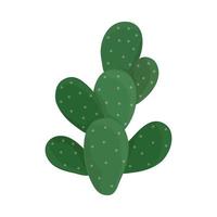 nature des plantes de cactus vecteur