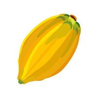 papaye fraîche aux fruits vecteur