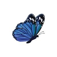 papillons colorés volant beaux insectes papillon avec illustration d'ailes décorées insecte papillon motif de printemps ailes réalistes de couleur bleue vecteur