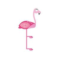 animal tropical flamant rose vecteur