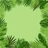 cadre avec des feuilles tropicales en vert. monstera, palmiers, tropiques. vecteur