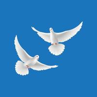 nuages d'oiseaux volant pigeons blancs ciel bleu concept de religion pacifique vecteur