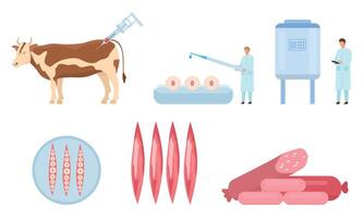 plat artificiel cultivé du boeuf Viande production processus. vache biopsie, cellules et muscle croissance, laboratoire bioréacteur. nourriture science vecteur infographie