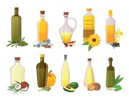 cuisine pétrole bouteilles. Naturel légume, olive, tournesol, Avocat et noix de coco vierge biologique huiles dans verre avec ingrédient les plantes vecteur ensemble