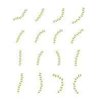 vert biologique feuilles icône ensemble isolé vecteur illustration.