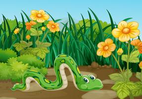 Serpent vert rampant dans le jardin vecteur