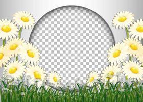 cadre rond avec modèle de champ de fleurs blanches vecteur