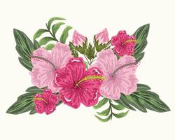 fleurs hibiscus pousse feuilles feuillage peinture design vecteur