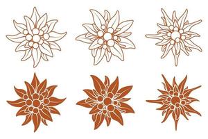collection de logo avec des fleurs d'edelweiss. fleurs de montagne. symbole de l'alpinisme. illustration vectorielle stock isolé sur fond blanc. vecteur