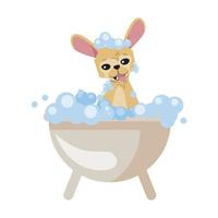 bain de dessin animé de chien chihuahua vecteur