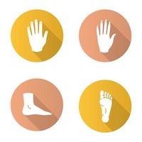 parties du corps ensemble d'icônes de glyphe grandissime design plat. mains, pieds masculins et féminins. illustration vectorielle vecteur