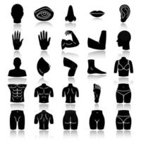 parties du corps ensemble d'icônes de glyphe noir ombre portée. anatomie. soins de santé. illustrations vectorielles isolées vecteur