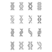 Ensemble d'icônes linéaires d'hélice d'adn. désoxyribonucléique, structure d'acide nucléique. chromosome. biologie moléculaire. code génétique. symboles de contour de ligne mince. illustrations de contour de vecteur isolé. trait modifiable