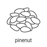 icône linéaire de noix de pin. illustration de la ligne mince. arôme, assaisonnement. symbole de contour. dessin de contour isolé de vecteur