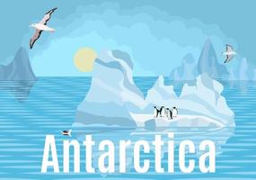 Pingouins et albatros de l'Antarctique sur les icebergs vecteur