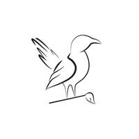 oiseau logo, oiseau modèle, oiseau conception contour style vecteur