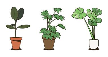 ornemental plante clipart vecteur