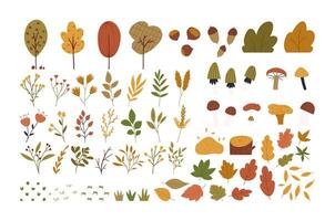 ensemble de l'automne botanique éléments dans mignonne main tiré plat style, isolé sur blanc Contexte. tomber saison la nature - des arbres, feuilles, champignons et fleurs. vecteur