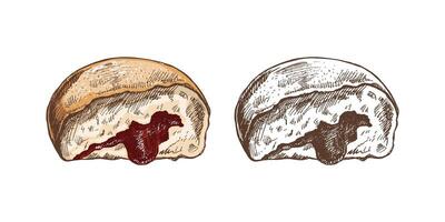traditionnel allemand polonais Donut avec Confiture, dépoussiéré. ancien coloré et monochrome illustration. Pâtisserie bonbons, dessert. élément pour le conception de Étiquettes, emballage et cartes postales. vecteur