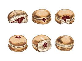 une ensemble de dessiné à la main coloré croquis de une traditionnel allemand ou polonais Donut avec Confiture, dépoussiéré. ancien illustration. Pâtisserie bonbons, dessert. élément pour le conception de Étiquettes, emballage et cartes postales. vecteur