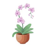 épanouissement orchidée fleur dans une pot. plante se soucier concept. botanique illustration, décor élément, vecteur