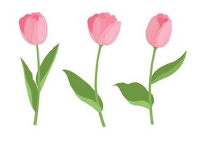 Ensemble d'icônes de tulipes de jardin mignon, style cartoon vecteur