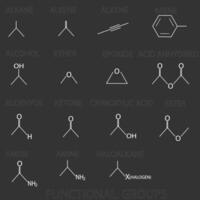 fonctionnel groupes moléculaire squelettique chimique formule vecteur