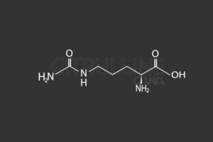 citrulline moléculaire squelettique chimique formule vecteur