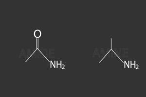 amide ou amine moléculaire squelettique chimique formule vecteur