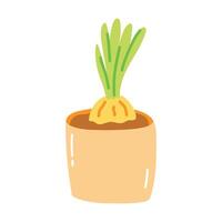 main tiré plante dans une pot. plat dessin animé vecteur illustration de fleur jardinage