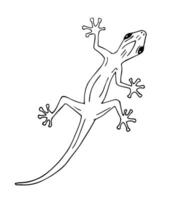 vecteur main tiré griffonnage esquisser gecko lézard