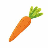 vibrant Orange carotte griffonnage vivement coloré carotte illustration avec vert hauts sur blanc Contexte vecteur
