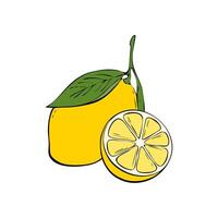citron main tiré illustration, Frais citron avec tranché moitié, contour dessiné, isolé sur blanc Contexte. vecteur