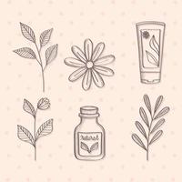 produits de cosmétique naturelle vecteur