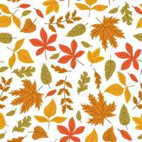 feuilles d'automne image de fond d'écran transparente motif. illustration vectorielle vecteur