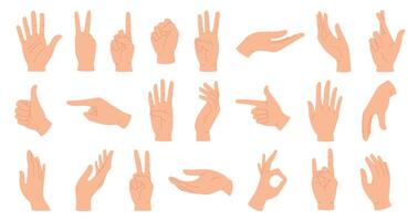 mains pose. femelle main en portant et montrer du doigt gestes, les doigts franchi, poing, paix et pouce en haut. dessin animé Humain paumes et poignet vecteur ensemble