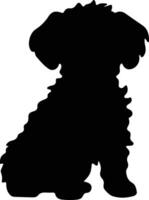 bichon frise silhouette vecteur