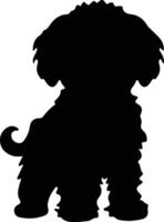 bichon frise silhouette vecteur