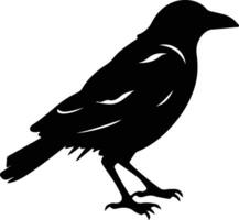 corbeau noir silhouette vecteur