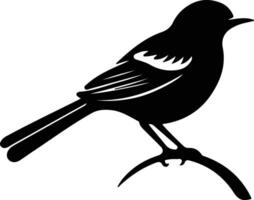 oiseau moqueur noir silhouette vecteur