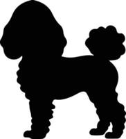 caniche noir silhouette vecteur