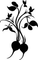 un radis noir silhouette vecteur