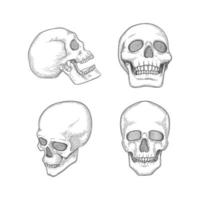 crâne humain anatomie photos tête os avec yeux bouche illustrations vectorielles crâne différents points de vue crâne tête humaine croquis mauvais squelette