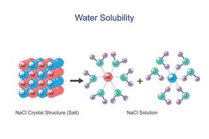 l'eau solubilité de sodium chlorure nacl ou sel. aqueux Solution de hydraté cations et hydraté anions. chimie concept. vecteur