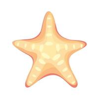 icône étoile de mer vecteur